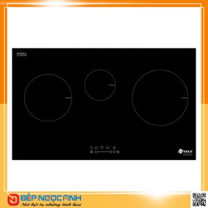 Bếp từ Arber AB-222S