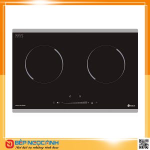 Bếp từ Arber AB-EI600