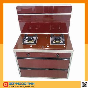 Bếp ga đôi Baidee DA12 - 900