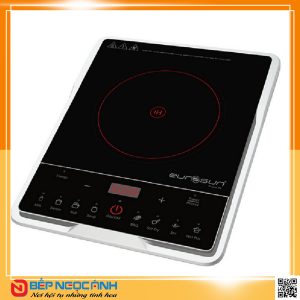 Bếp Từ Đơn Eurosun EU-T185S