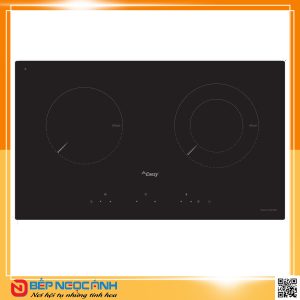 Bếp điện từ cao cấp CANZY CZ 400-2EB