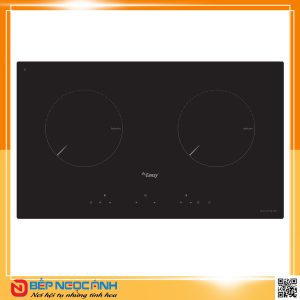 Bếp điện từ cao cấp CANZY CZ 400-2EGB