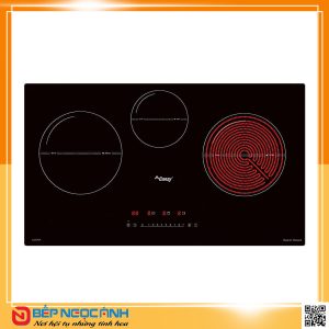 Bếp điện từ cao cấp CANZY CZ 67GP