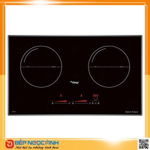 Bếp điện từ cao cấp CANZY CZ 67P