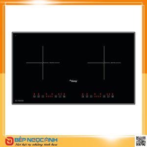 Bếp điện từ cao cấp CANZY CZ 900GB