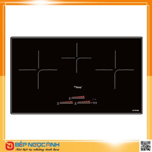 Bếp từ CANZY CZ 999DHI