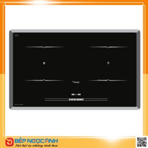 Bếp từ CANZY CZ TL868I