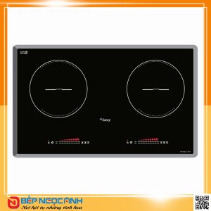 Bếp điện từ Canzy CZ 79D