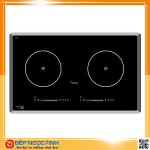 Bếp từ Canzy CZ 907G