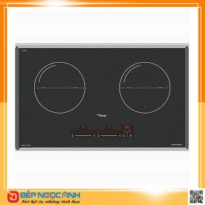 Bếp từ Canzy CZ-TL867T