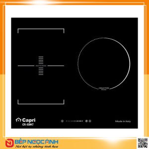 Bếp từ Capri CR-839KT
