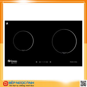 Bếp từ Capri GS-77IT