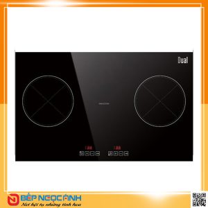 Bếp điện từ Dual D813