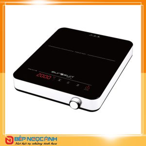 BẾP TỪ EUROSUN EU-T198