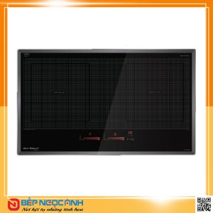 BẾP TỪ EUROSUN EU-T899G