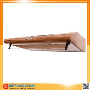 Máy hút mùi Eurosun EH-70C18V