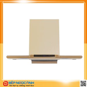 Máy hút mùi Eurosun EH-90AP19