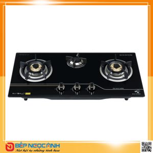 Bếp gas âm Eurosun EU-GA309