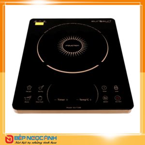 Bếp từ Eurosun EU-T188