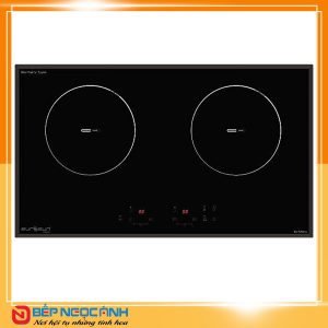 Bếp Điện Từ EUROSUN EU-TE259 Pro