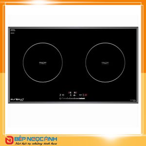 Bếp từ Eurosun EU-T702Plus