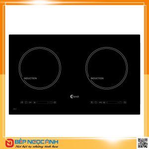 Bếp điện từ Fandi FD 226 I
