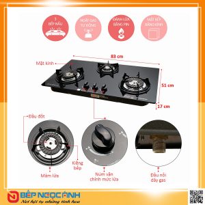 Bếp gas âm Torino THG-3B