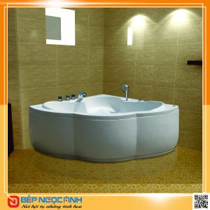Bồn tắm Việt Mỹ 12H