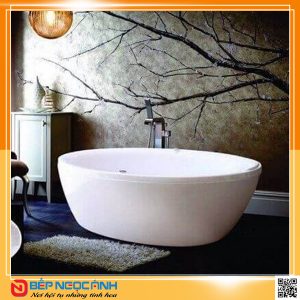 Bồn tắm Việt Mỹ 19.O