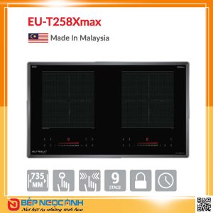 BẾP TỪ EUROSUN EU-T258XMAX
