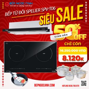 COMBO 41 SPELIER SPV-T06