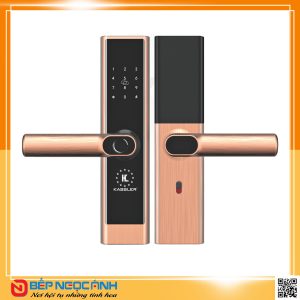 Khóa cửa vân tay Kassler KL-656