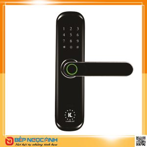 Khóa cửa vân tay Kassler KL-666
