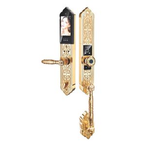 Khóa cửa vân tay Kassler KL-939 F